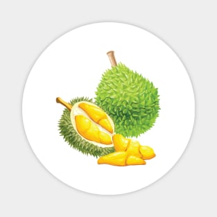 Durian Magnet